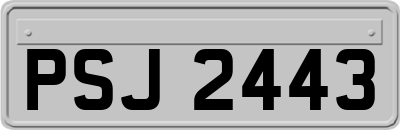 PSJ2443