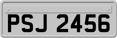 PSJ2456