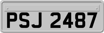 PSJ2487