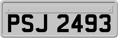 PSJ2493