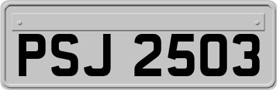 PSJ2503