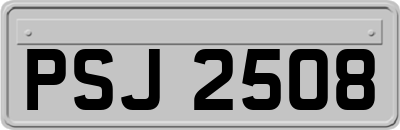 PSJ2508