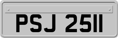 PSJ2511
