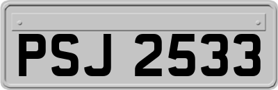 PSJ2533