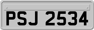 PSJ2534