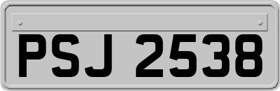 PSJ2538