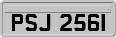 PSJ2561