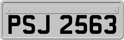 PSJ2563