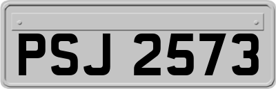 PSJ2573