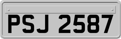 PSJ2587