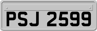 PSJ2599
