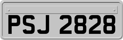 PSJ2828