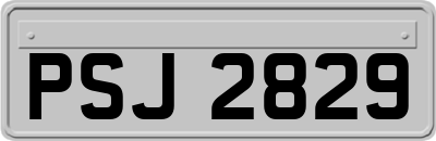 PSJ2829
