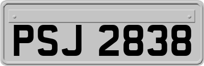 PSJ2838
