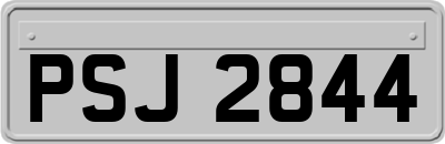 PSJ2844