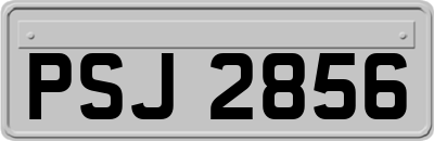 PSJ2856
