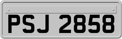 PSJ2858