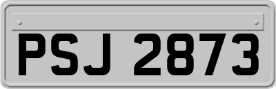 PSJ2873