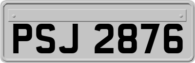 PSJ2876