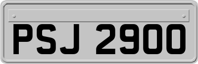 PSJ2900