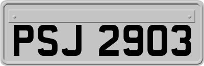 PSJ2903