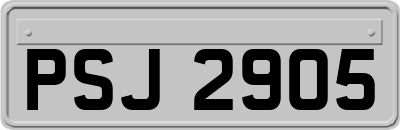 PSJ2905