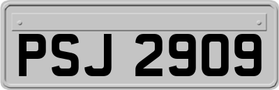 PSJ2909