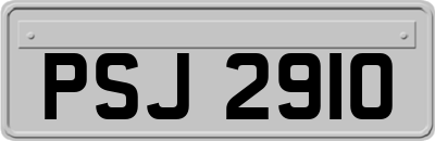 PSJ2910