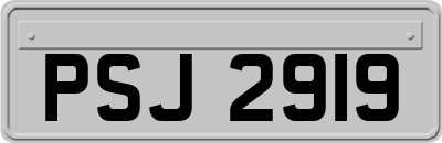 PSJ2919