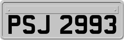 PSJ2993