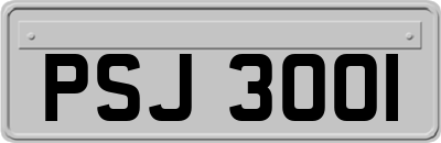 PSJ3001