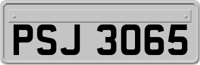 PSJ3065