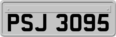 PSJ3095