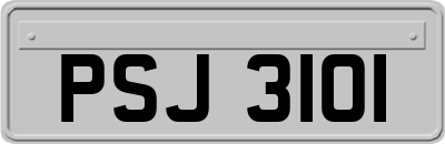 PSJ3101