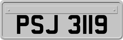 PSJ3119