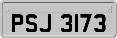 PSJ3173
