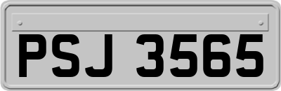 PSJ3565