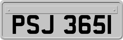 PSJ3651