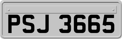 PSJ3665