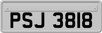 PSJ3818