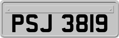PSJ3819