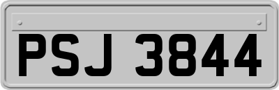 PSJ3844