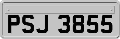 PSJ3855