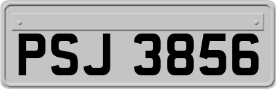 PSJ3856