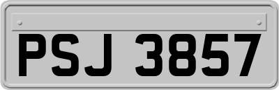 PSJ3857