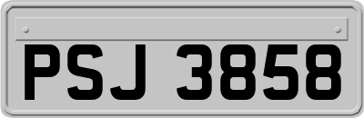 PSJ3858