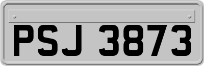 PSJ3873