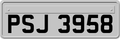 PSJ3958