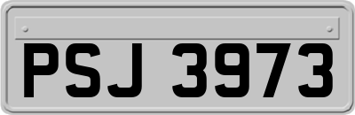 PSJ3973