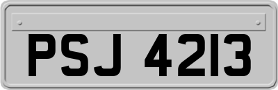 PSJ4213
